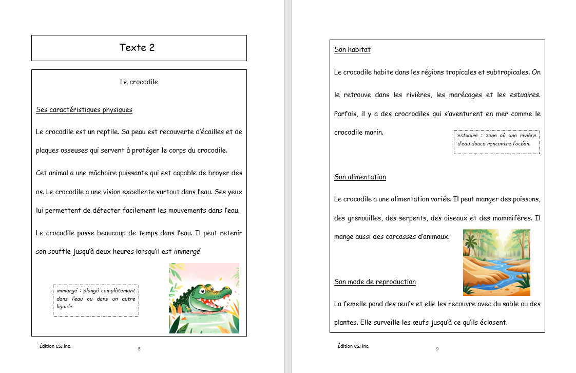 4e année Lecture compréhension de textes - CAHIER A (Numérique)