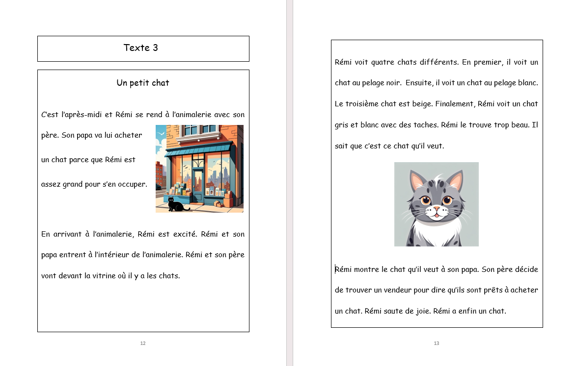 2e année Lecture compréhension de textes - CAHIER A (Numérique)