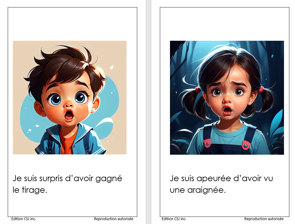 1re année Les sentiments - LIVRE 10 COLLECTION B (Numérique)