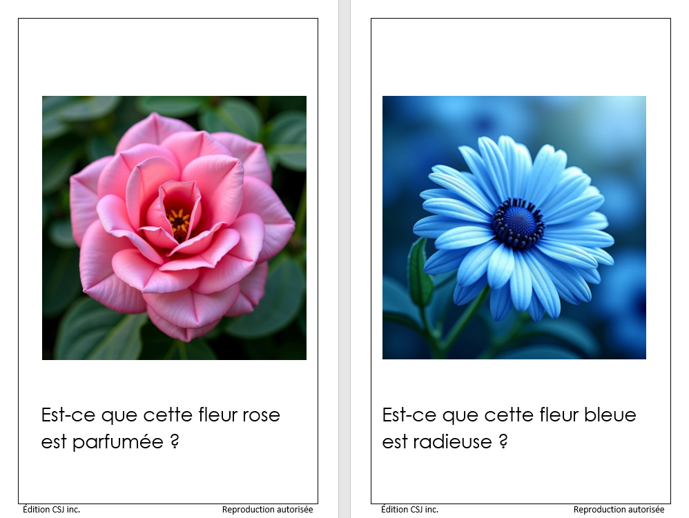 1re année Les fleurs - LIVRE 20 COLLECTION B (Numérique)
