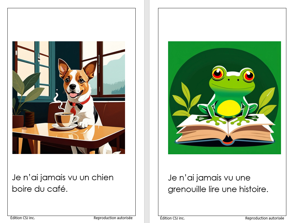 1re année Je n'ai jamais vu - LIVRE 6 COLLECTION B (Numérique)