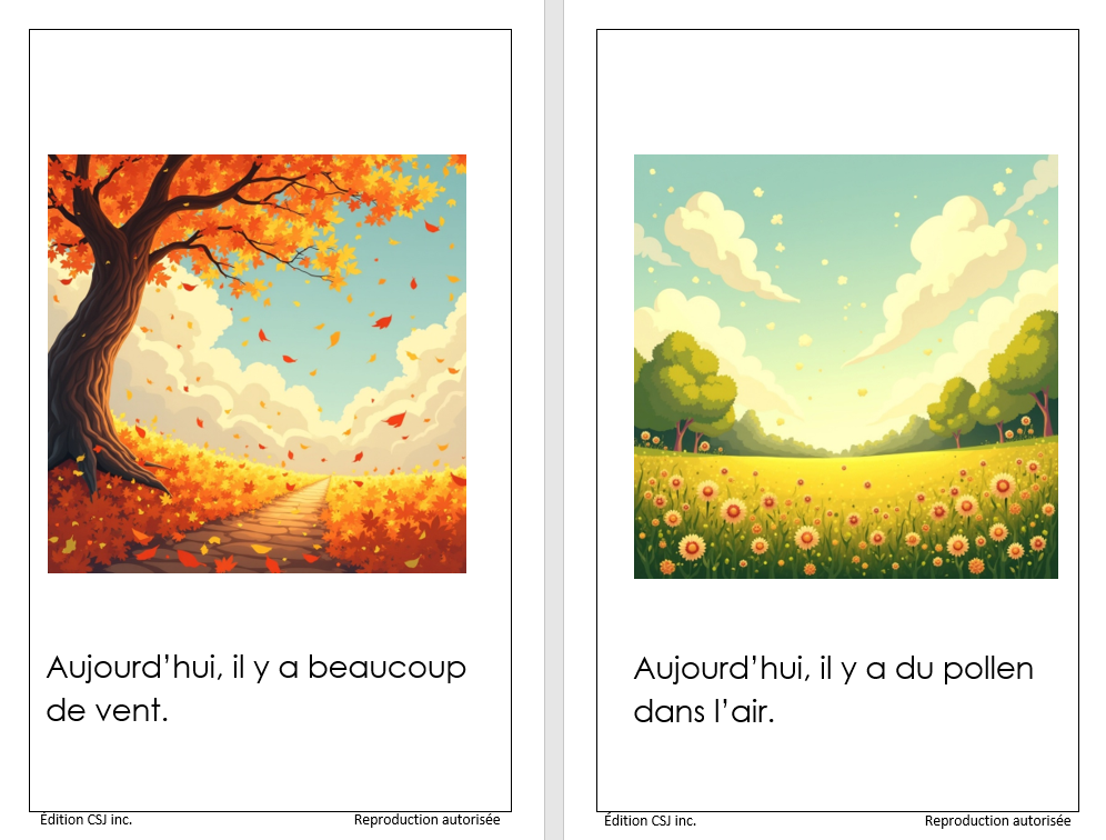 1re année La météo - LIVRE 8 COLLECTION B (Numérique)