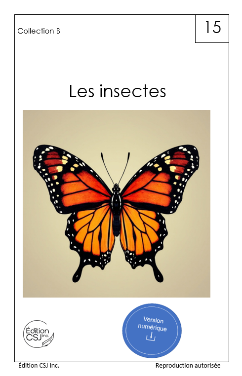 1re année Les insectes - LIVRE 15 COLLECTION B (Numérique)