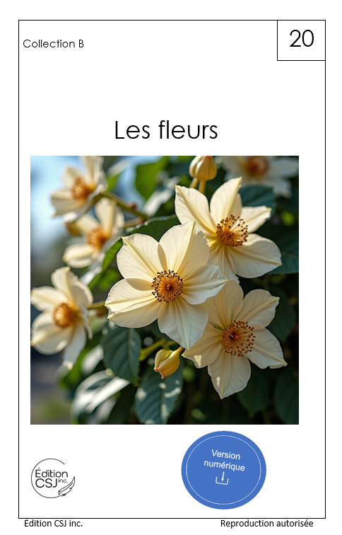 1re année Les fleurs - LIVRE 20 COLLECTION B (Numérique)
