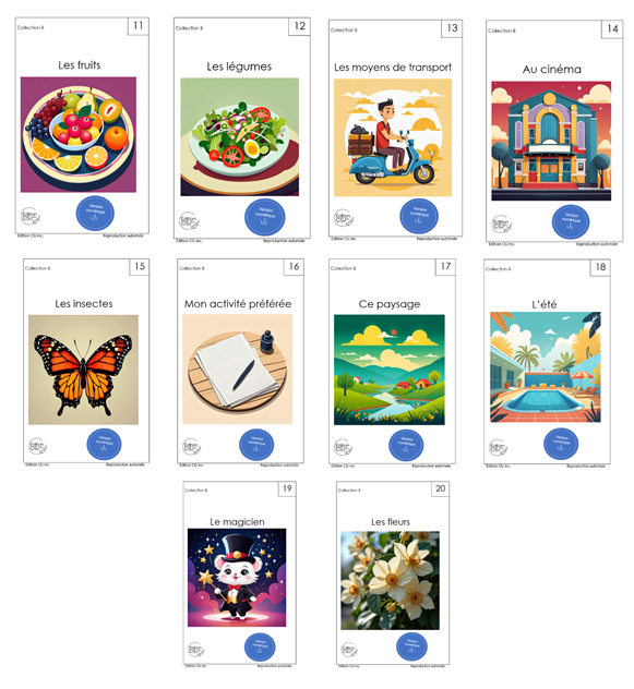 1re année Ensemble - LIVRES 11 à 20 COLLECTION B (Numérique)