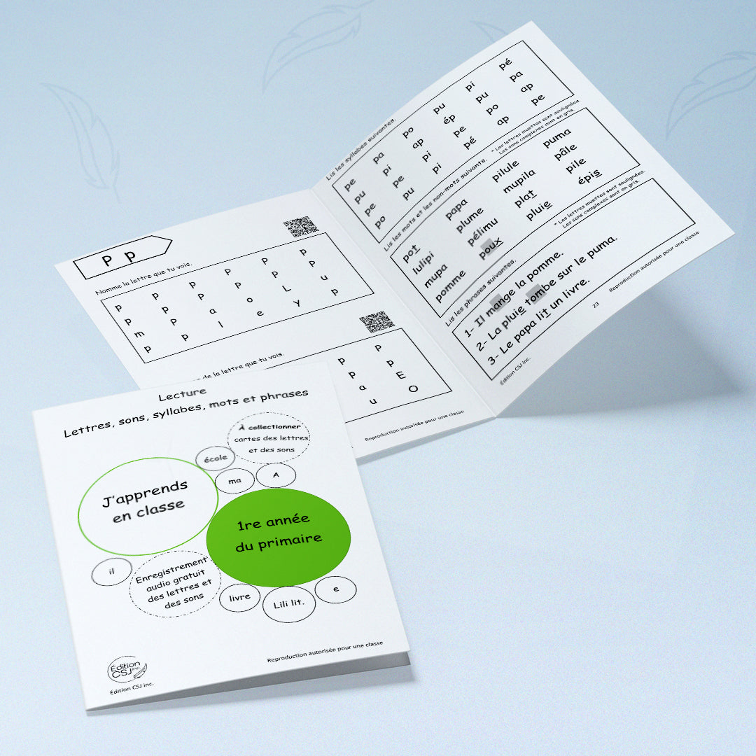 1re année Lecture lettres, sons, syllabes, mots et phrases