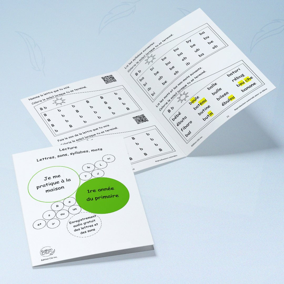 1re année Lecture lettres, sons, syllabes, mots