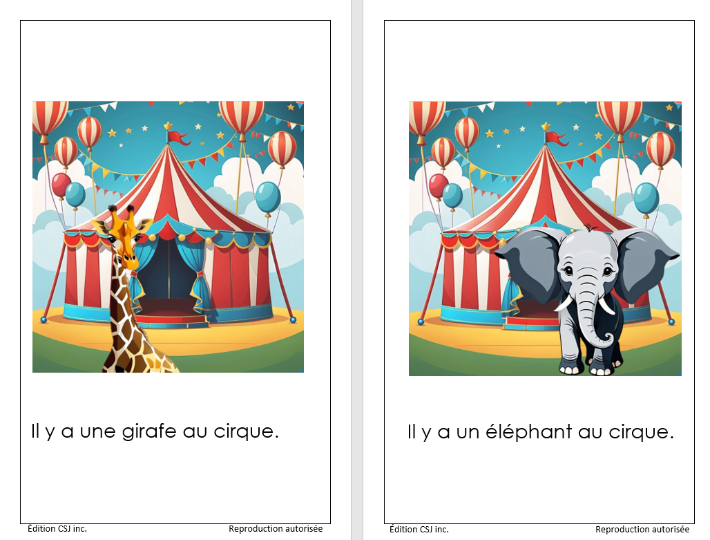1re année Au cirque - LIVRE 20 COLLECTION A (Numérique)