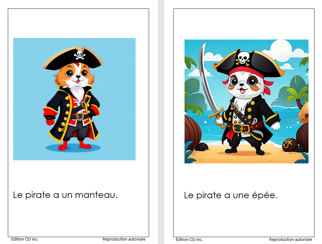 1re année Le pirate - LIVRE 5 COLLECTION A (Numérique)