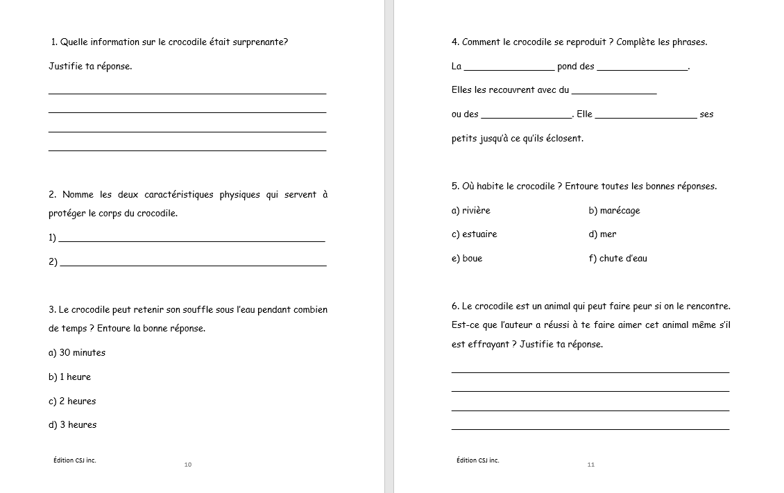 4e année Lecture compréhension de textes - CAHIER A (Numérique)