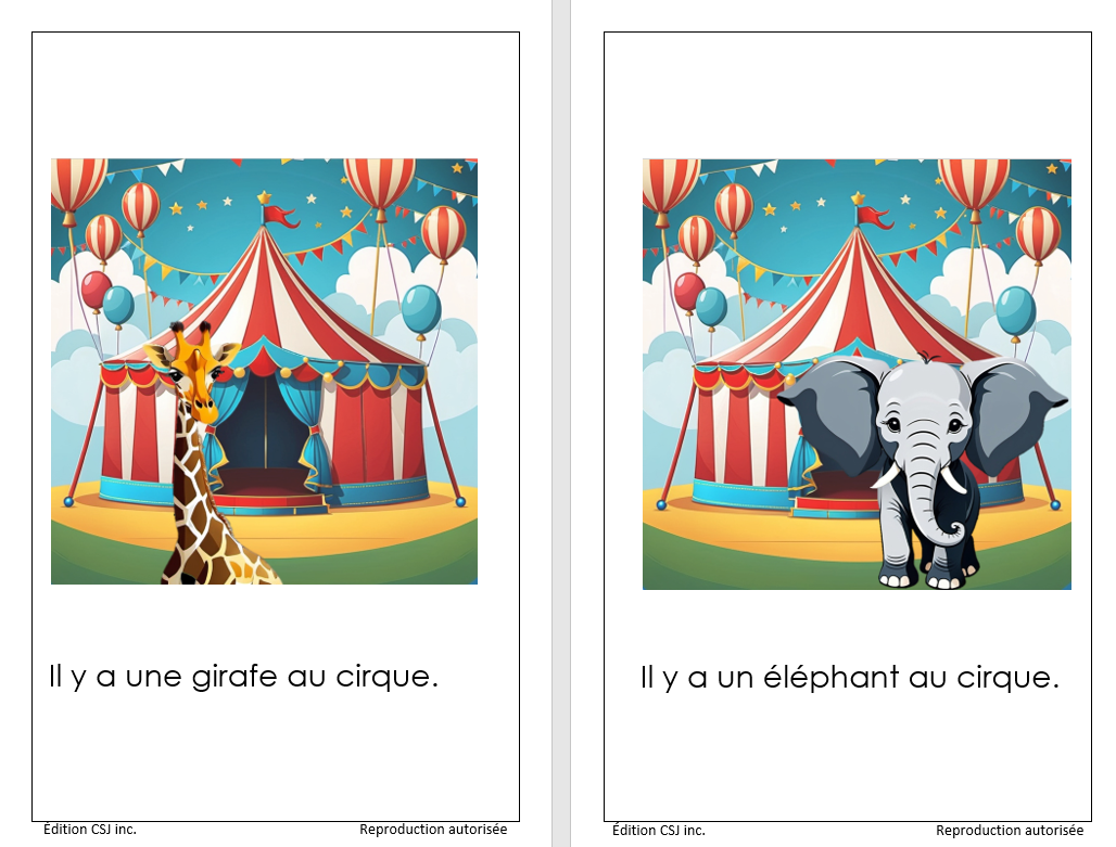 1re année Au cirque - LIVRE 20 COLLECTION A   (Numérique)